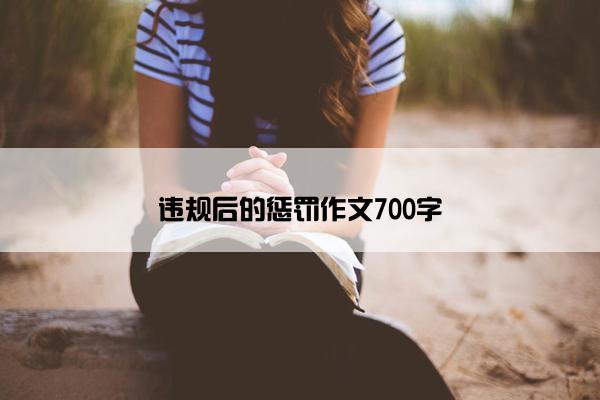 违规后的惩罚作文700字