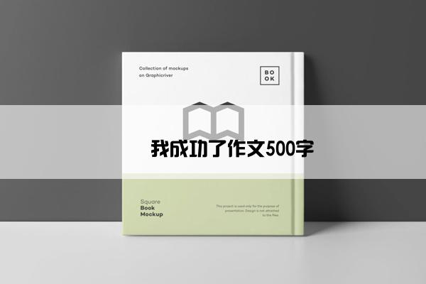 ​​我成功了作文500字