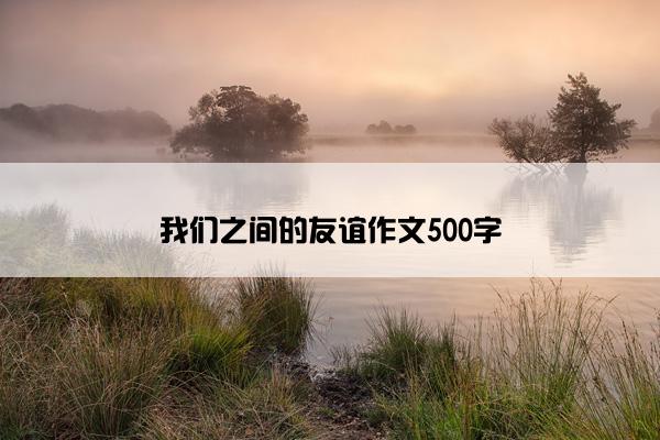 我们之间的友谊作文500字