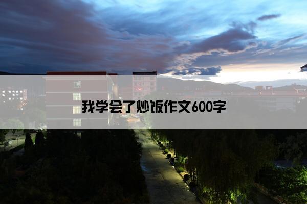 我学会了炒饭作文600字