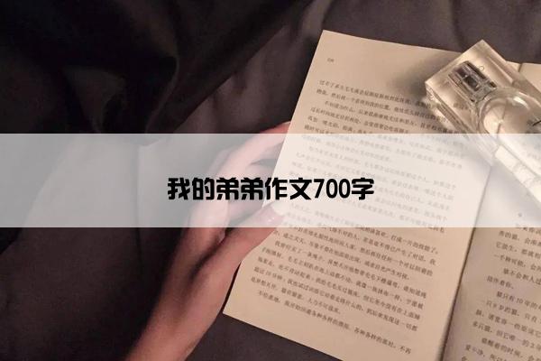 我的弟弟作文700字
