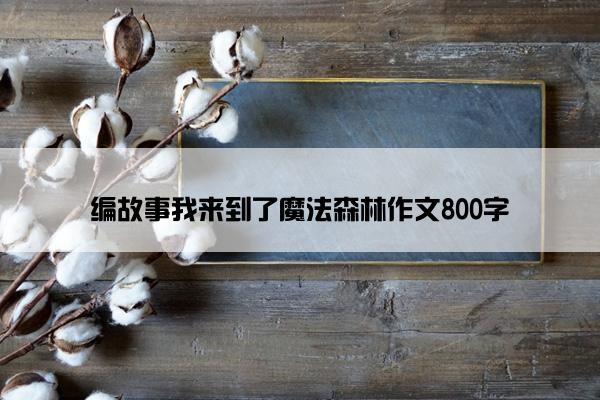 编故事我来到了魔法森林作文800字