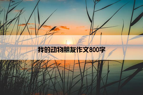 我的动物朋友作文800字