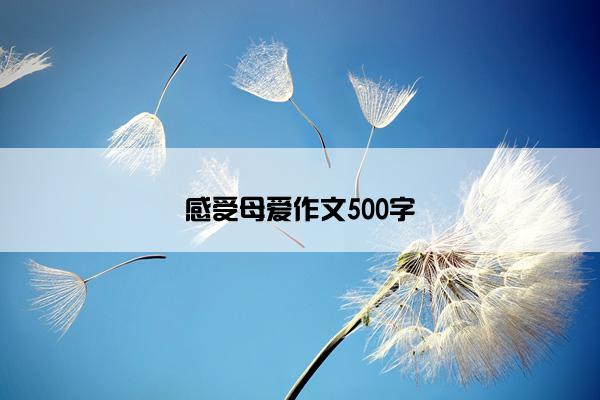 感受母爱作文500字