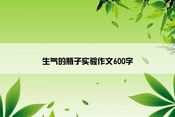 生气的瓶子实验作文600字