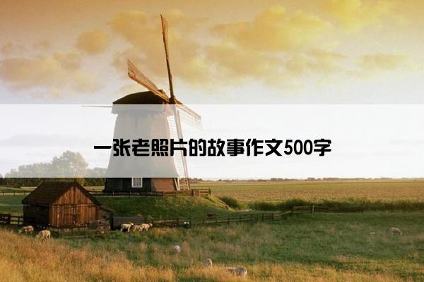 一张老照片的故事作文500字