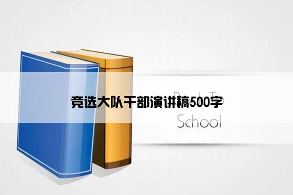 竞选大队干部演讲稿500字