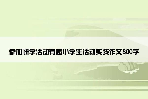 参加研学活动有感小学生活动实践作文800字
