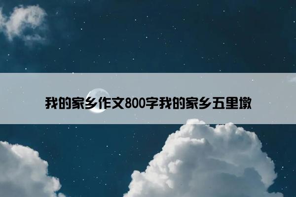 我的家乡作文800字我的家乡五里墩