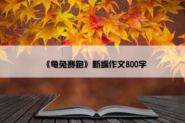 《龟兔赛跑》新编作文800字