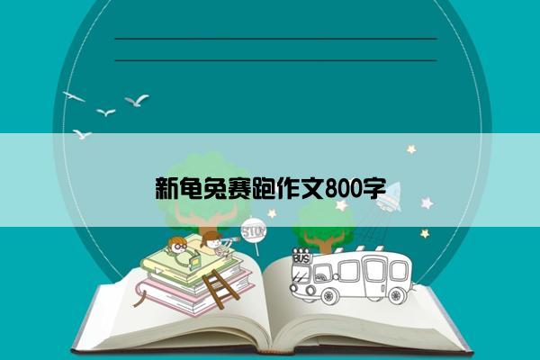 新龟兔赛跑作文800字
