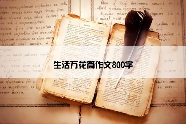 生活万花筒作文800字