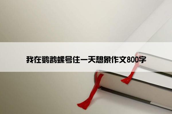 我在鹦鹉螺号住一天想象作文800字
