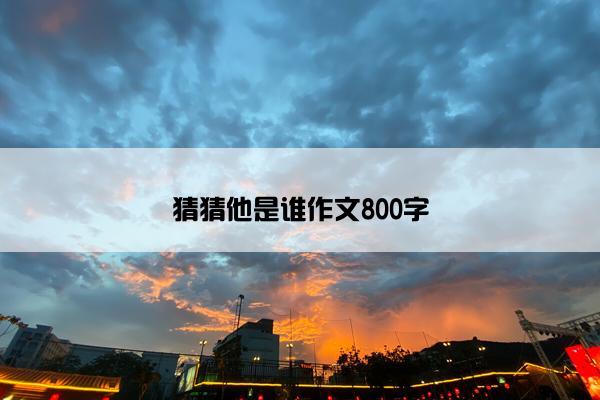 猜猜他是谁作文800字