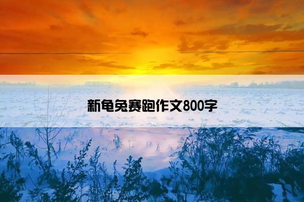 新龟兔赛跑作文800字
