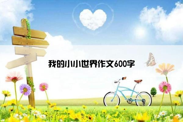我的小小世界作文600字