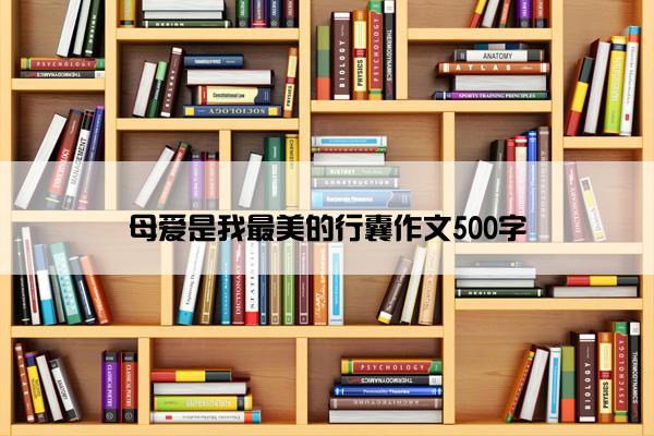 母爱是我最美的行囊作文500字