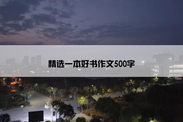 精选一本好书作文500字