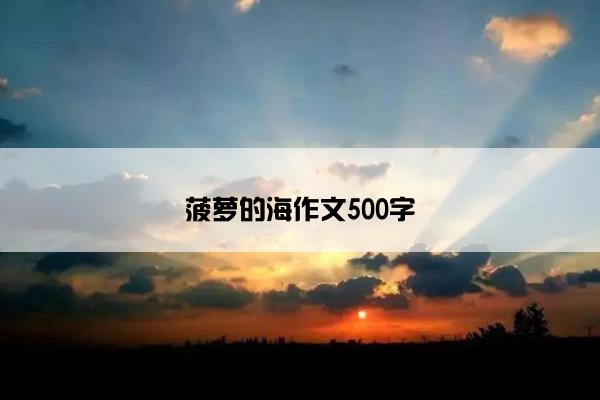 菠萝的海作文500字