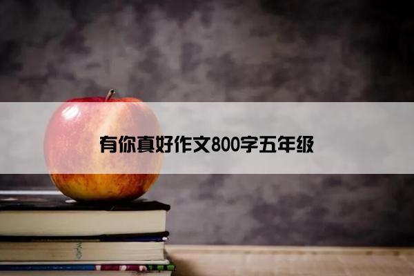 有你真好作文800字五年级