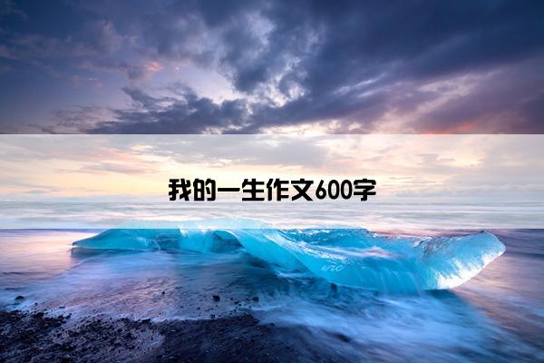 我的一生作文600字
