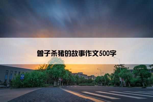 曾子杀猪的故事作文500字