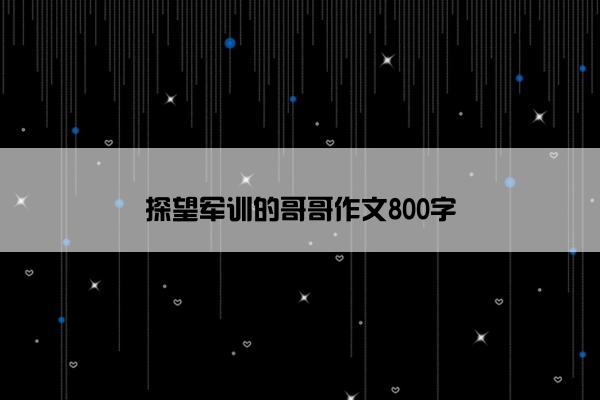探望军训的哥哥作文800字