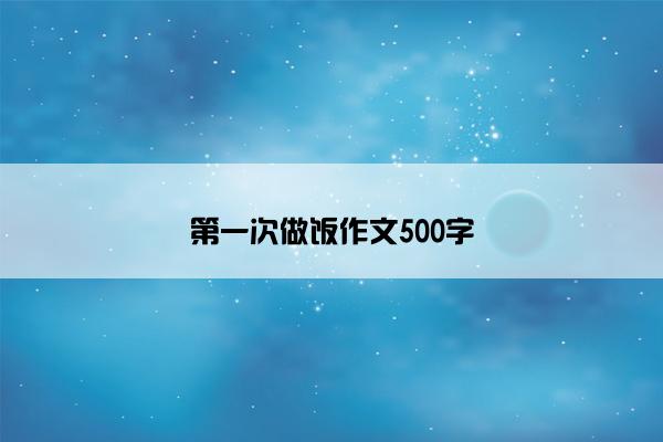 第一次做饭作文500字