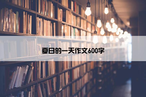 夏日的一天作文600字