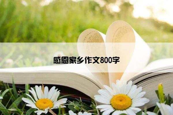 感恩家乡作文800字