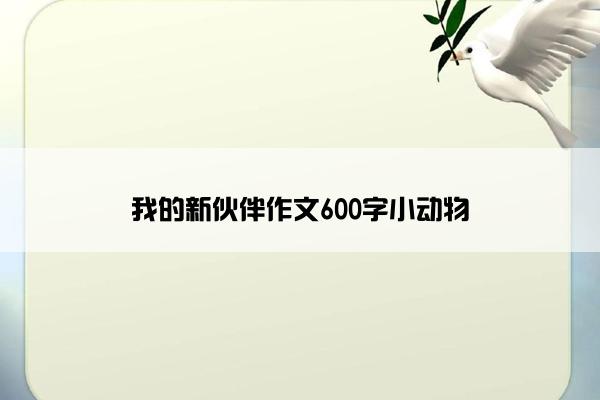 我的新伙伴作文600字小动物