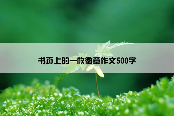 书页上的一枚徽章作文500字