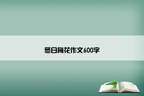 冬日梅花作文600字