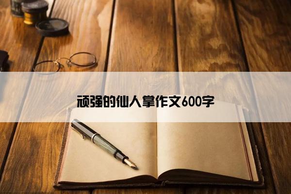 顽强的仙人掌作文600字