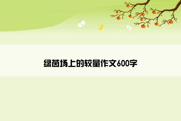 绿茵场上的较量作文600字