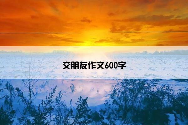 交朋友作文600字