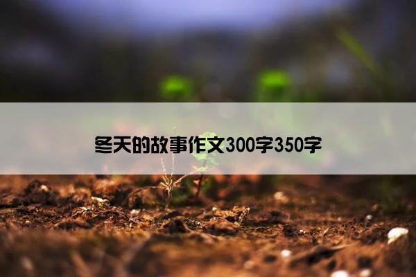 冬天的故事作文300字350字