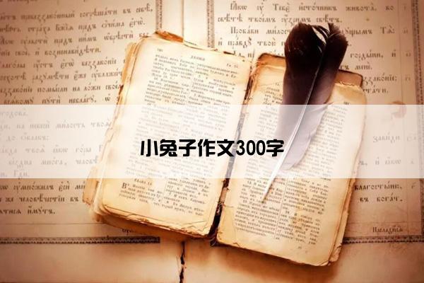 小兔子作文300字