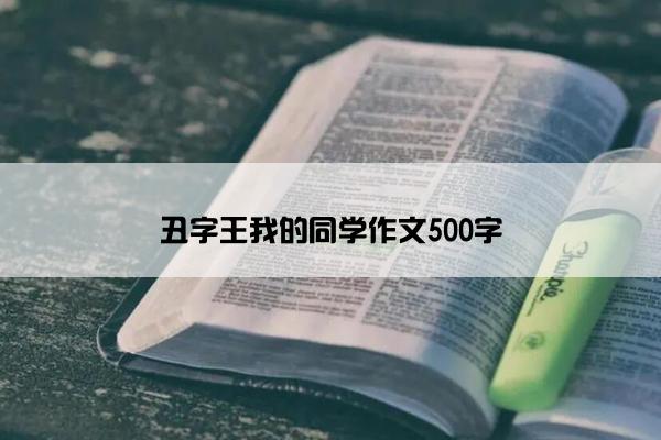 丑字王我的同学作文500字