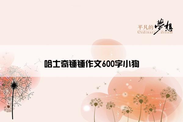 哈士奇锤锤作文600字小狗