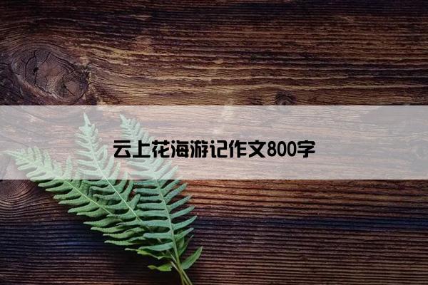 云上花海游记作文800字