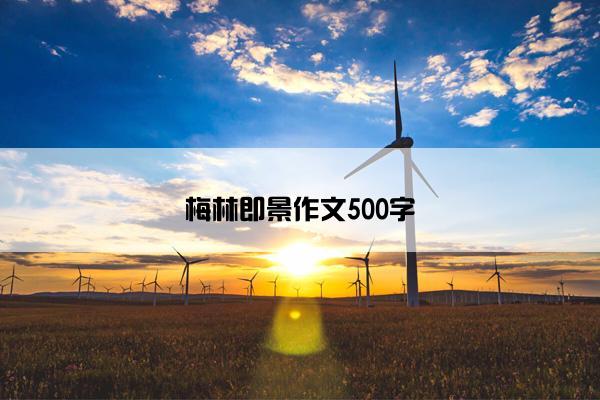 梅林即景作文500字