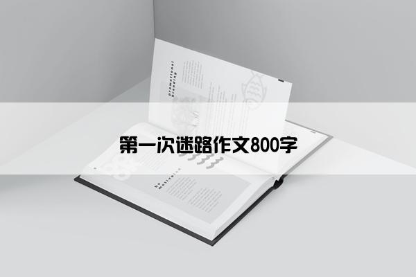 第一次迷路作文800字