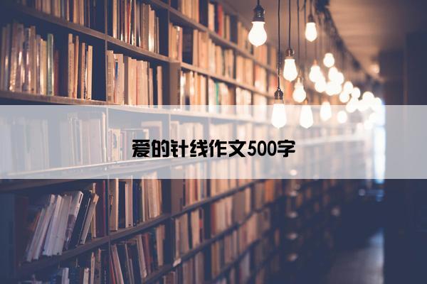 爱的针线作文500字