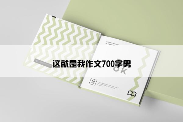 这就是我作文700字男