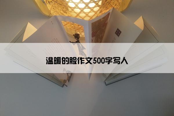 温暖的脸作文500字写人