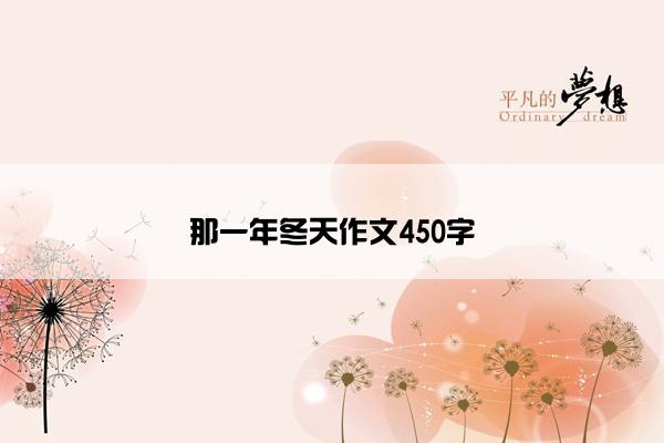 那一年冬天作文450字