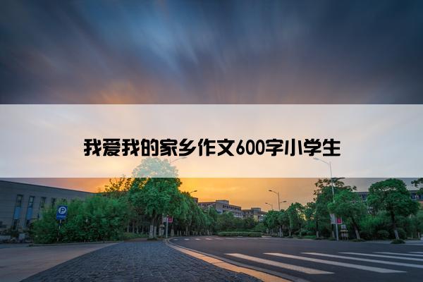 我爱我的家乡作文600字小学生