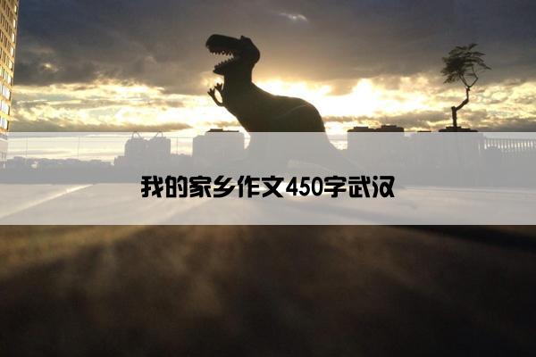我的家乡作文450字武汉