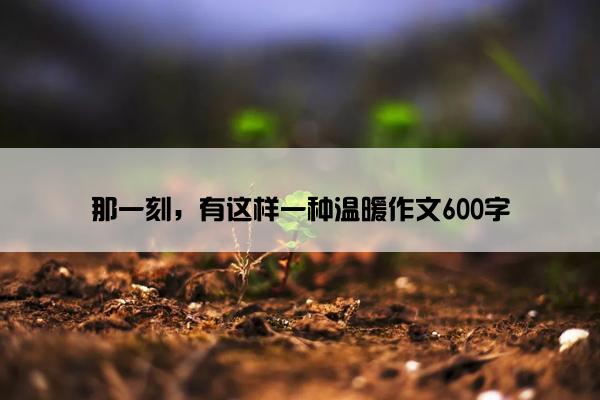 那一刻，有这样一种温暖作文600字